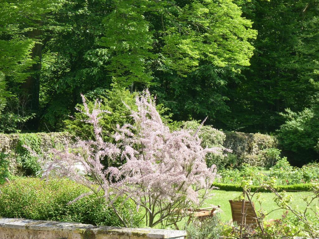 Château-Renard Le Clos Saint Nicolas Bed & Breakfast エクステリア 写真